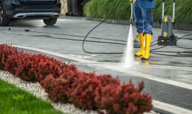 Reliable West Springfield, VA Pressure washing Solutions